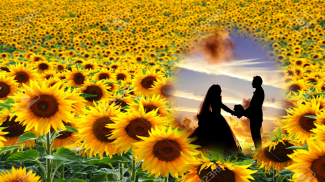 sunflower photo frames editor screenshot 5