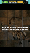 Animal Photo Puzzle. screenshot 1