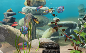 MyLake 3D Aquarium screenshot 1