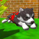 Cute Pocket Puppy 3D Icon