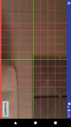 Laser Level Grid screenshot 0