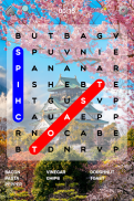 Word Search screenshot 7