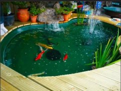 Fish Pond screenshot 2