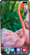 Flamingo Wallpaper HD screenshot 9