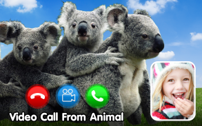 Video call from sound of animals - Text simulation screenshot 1