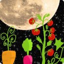 Gardener's Lunar Calendar Icon