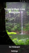 Tropical Rain Video Wallpaper screenshot 3