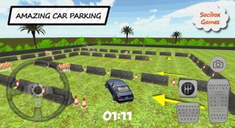 Fast Car Parking screenshot 2