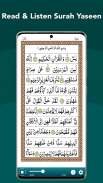 Quran Tilawat & Surah Yaseen screenshot 1