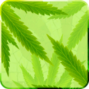 MaryJane Free Live Wallpaper