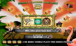 Flamingo Safari Slots screenshot 12