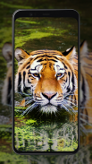 Tiger Wallpapers screenshot 0