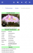 Cacti screenshot 9