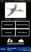 Adivina el dinosaurio screenshot 2