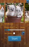 Cats Jigsaw Puzzles screenshot 4