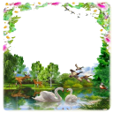 Nature Photo Frame Icon