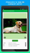 DoggyApp - Identifica Perros screenshot 7
