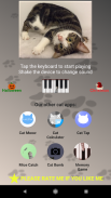 Cat Piano screenshot 3