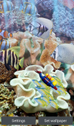 The real aquarium - Live Wallpaper screenshot 14