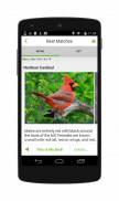 Merlin Bird ID by Cornell Lab of Ornithology screenshot 5