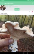 Geo Mushroom - Champignon cueillette screenshot 9
