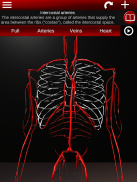 Circulatory System 3D Anatomy screenshot 14