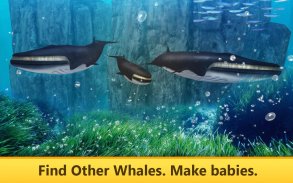 Ocean Whale Simulator Quest screenshot 2