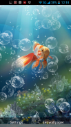 Gold Fish Live Wallpaper screenshot 3