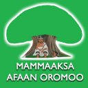 Mammaaksa Afaan Oromoo