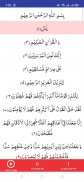 Surah Yaseen screenshot 0