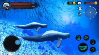 The Beluga Whale screenshot 13