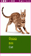 Learn Odia Wildlife and Body Parts Names screenshot 9