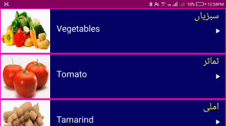 Learn English From Urdu screenshot 9