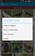 Australian Birds Sounds Free screenshot 8