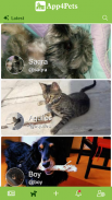 App4Pets - Pets social network screenshot 0