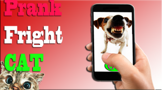 Angry Cat Prank Meme Button for Android - Free App Download