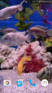 Aquarium Video Wallpaper screenshot 6