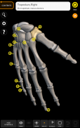 骨骼 | 人体解剖学3D互动图集 screenshot 11
