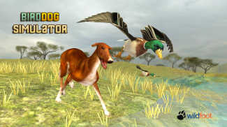 Bird Dog Simulator screenshot 0