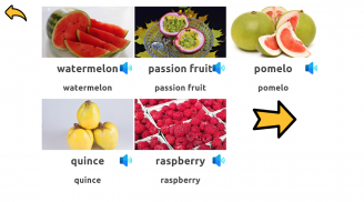 Learn Fruits Vegetables screenshot 0