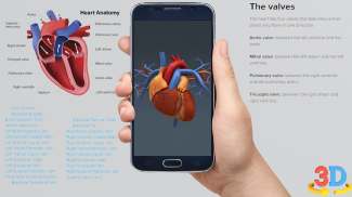 Human anatomy 3D : Organs and Bones screenshot 2
