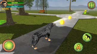 Rottweiler Dog Life Simulator screenshot 6