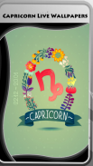 Capricorn Live Wallpapers screenshot 0