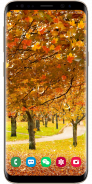 Autumn Maple Leaf Droplets Live Wallpaper screenshot 7