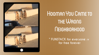FunStack screenshot 6