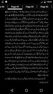 Chancellor by Rizwan Ali Ghuman Urdu Novel Offline screenshot 2