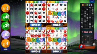 Bingo - Free Bingo Games screenshot 5