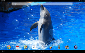 Animal Dolphin Live Wallpaper screenshot 2