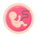 Pregnancy Symptoms - Pregnancy calculator Icon