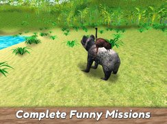 Koala Family Simulator - try Australian wildlife! screenshot 10